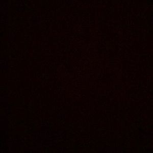 Meet your Posher, Zoe